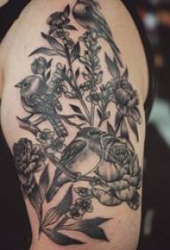 O braço do menino no ponto cinza preto espinho linha simples planta flor e imagem de tatuagem de pássaro