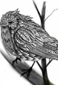 ブラックグレースケッチ創造的な文学の繊細なパターンの鳥の入れ墨原稿