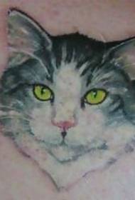 黄色眼睛的猫肖像纹身图案