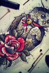 歐美貓頭鷹玫瑰彩繪紋身圖案手稿