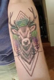 Boys Arms Painted Gradient Geometric Lines Creative Small Animal Deer Tattoo Picture