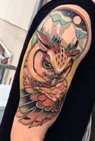 I-Owl Tattoos: Uxabiso lweseti yesandla semibhalo yesikhova kunye nee tattoos