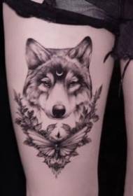 Ładny zestaw wzorów tatuaży z głową wilka