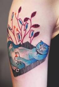 Colorful set of cat tattoo artwork pictures