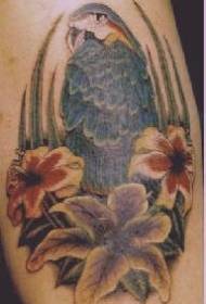Macaw color și model de tatuaje de flori