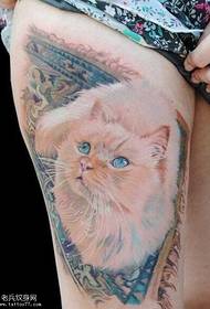 um conjunto de padrões de tatuagem de gato nas pernas