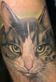 Реалистичная цветная татуировка кота