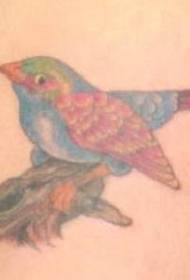 Realistic realistic birdie and twig tattoo pattern