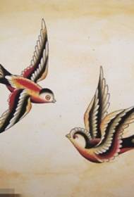 Painted sketch creative personality literary small fresh bird tattoo manuscript