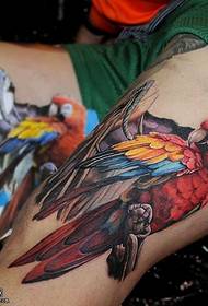 Mtundu wa tattoo wa parrot wokongola pa ntchafu