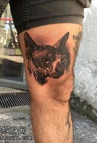un modello del tatuaggio del gattino sulla gamba