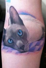 Kucing ayu nganggo pola tato mata biru