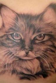 Super realistysk tattoo-patroan foar katten