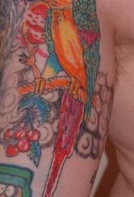 Big arm colored parrot tattoo pattern