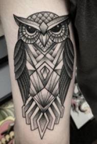 Girl arm on black gray sketch pricking technique geometric element creative owl tattoo picture