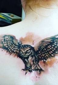 Djevojka leđa na crnoj tački ukrašava jednostavnu liniju tetovaža sova male životinje