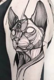 猫の入れ墨の写真のスフィンクス猫テーマセット