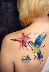 Liten färsk uppsättning av akvarellflygfågel tatueringsmönster