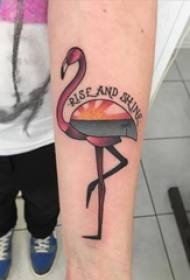 Un ensemble de lignes de personnalité simples tatouage flamingo tatouage motif de tatouage de petit animal Daquan
