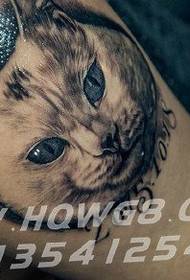 小腿的猫咪纹身图案