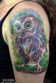 Uzorak za tetoviranje sove na rukama