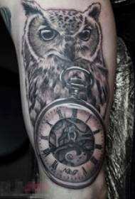 Boys Arms on Black Gray Sketch Sting Tips Creative Animal Owl and Pocket Watch Tattoo Picture