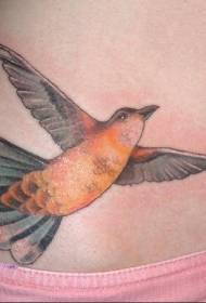 Abdominal flying colorful bird tattoo pattern