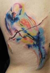 Side rib colorful bird branch watercolor painting style tattoo pattern