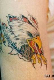 Arm color torn eagle head tattoo pattern