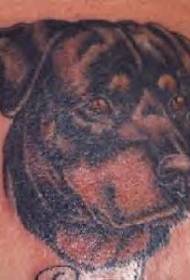 Rottweiler head portrait tattoo pattern