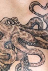 Male belly black octopus tattoo pattern