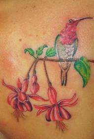 Плече колібрі колібрі з квітковим малюнком татуювання