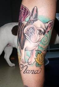 Colored french bulldog rose tattoo pattern