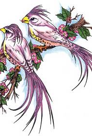 Fashion beautiful and beautiful magpie cherry tattoo manuscript pattern picture