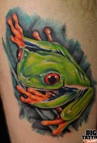 Ногі вады колер рэалістычны малюнак татуіроўкі жаба дрэва