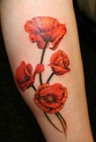 Poppy flower tattoo prentjie mooi, maar dodelike papawerblom tattoo patroon
