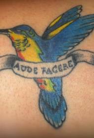 Atzeko kolorea latinezko testua kolibrioen tatuajearekin