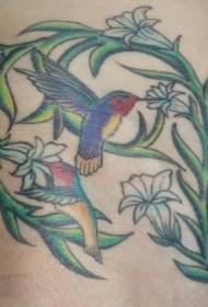 Leg color hummingbird with vine tattoo pattern