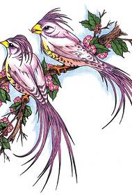 Թռչնի դաջվածքների ձևավորում. Magpie Cherry Tattoo Model
