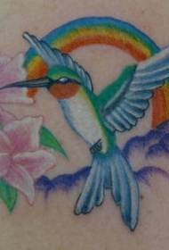 Shoulder color hummingbird and rainbow tattoo picture