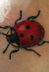 Picha ya kweli ya tattoo ya ladybug kwenye bega