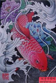 Manuscrit de tatuatges de Koi xinès (10)