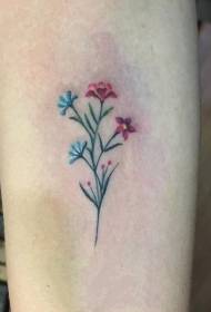 Mini tatuiruotės, šviežių ir gražių augalų tatuiruotės