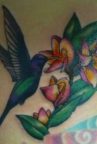 Blue hummingbird ati ilana tatuu frangipani