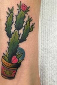Tatuaje de plantas, bosquexo de tatuaxe pintado múltiple, patrón de tatuaxe de plantas
