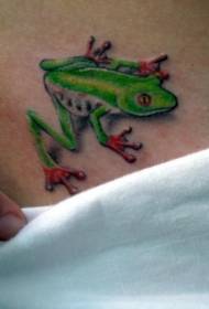Колер таліі рэалістычны ўзор татуіроўкі зялёнай жабы