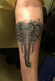 Boys Arms on Black Gray Sketch Sting Tips Creative Exquisite Elephant Tattoo