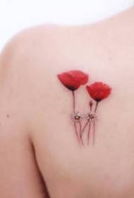 Malé čerstvé tetování rostlin Malá sada malých barevných obrázků tetování