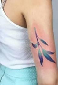 Tatuagem de folha 9 bela planta deixa cor padrão de tatuagem
