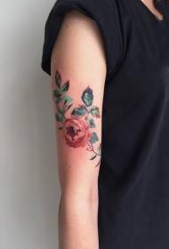 Patró de tatuatge de brots de flors de rosa